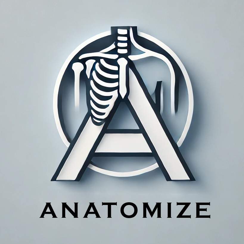 Anatomize - Official Links & Social Media | atom.bio