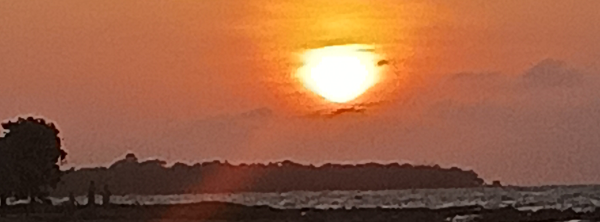 atom bio de CAMILA MEJIA AREVALO