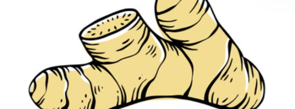 atom bio de JenGiPERÙ