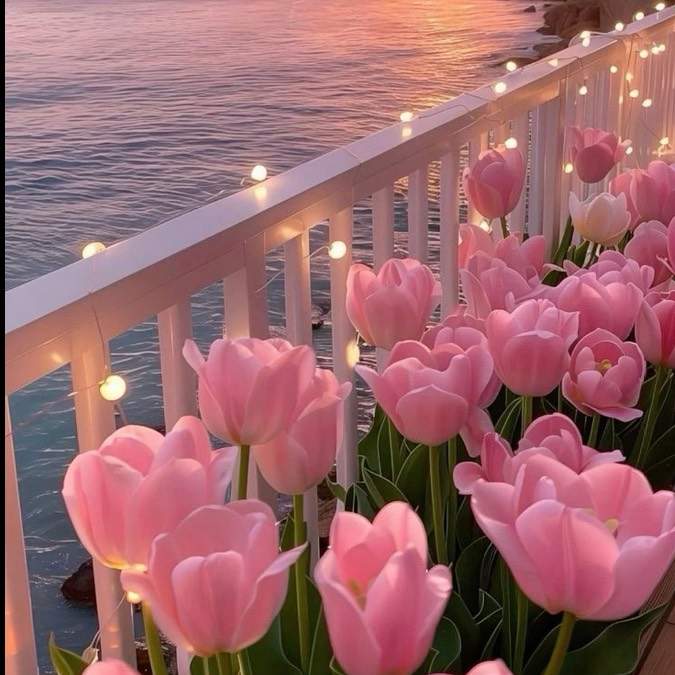 atom bio de Glow & Fashion