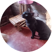 atom bio de Leidy lorena