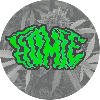 atom bio de Dnp El Dment Musical