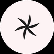 atom bio de Makeup Studio