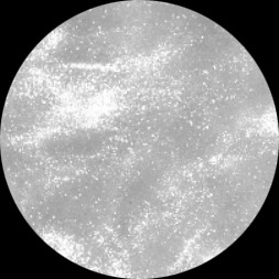 atom bio de Brillo Moderno