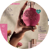 atom bio de Amor y belleza