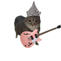 atom bio de Gatonautas