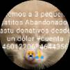 atom bio de Garfield