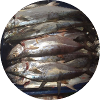 atom bio de Yennifermedina