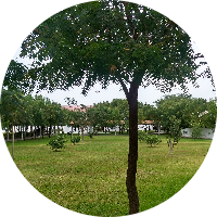 atom bio de Aissaonline