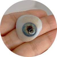 atom bio de IRIS LENSES