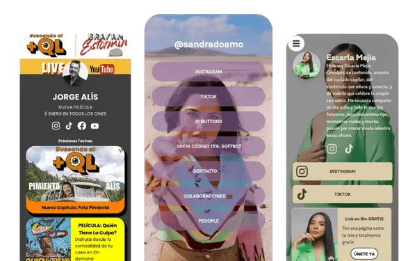Exemple d'una pàgina d'estil de creador Instagram link in bio