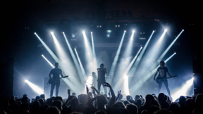 link in bio músicos