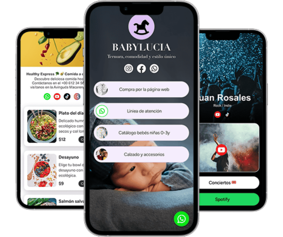 example of professional link in bio