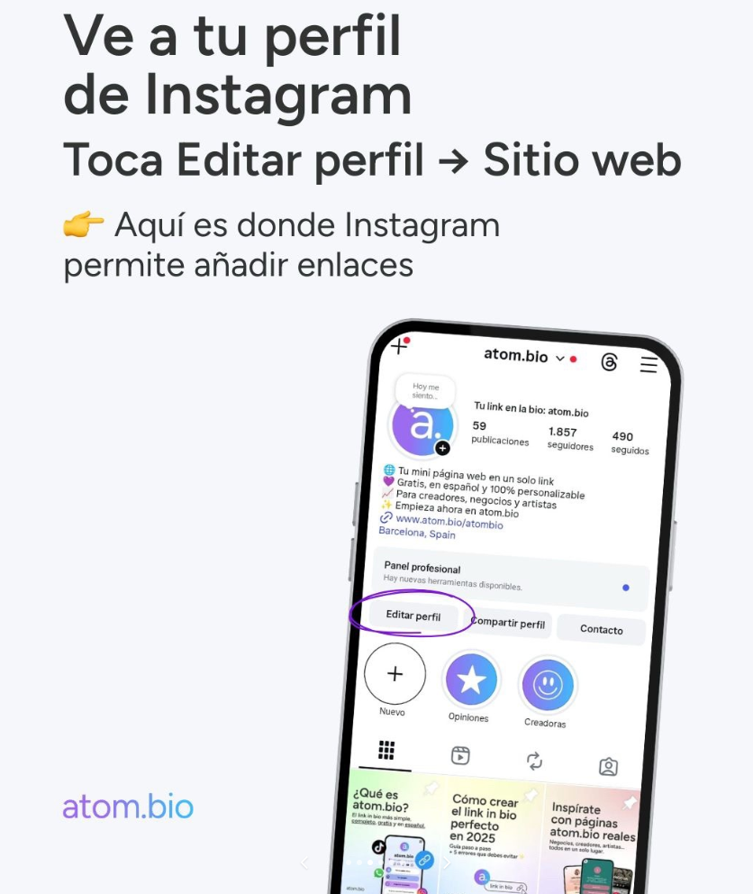Captura del perfil de Instagram con Editar perfil y Sitio web para añadir un enlace