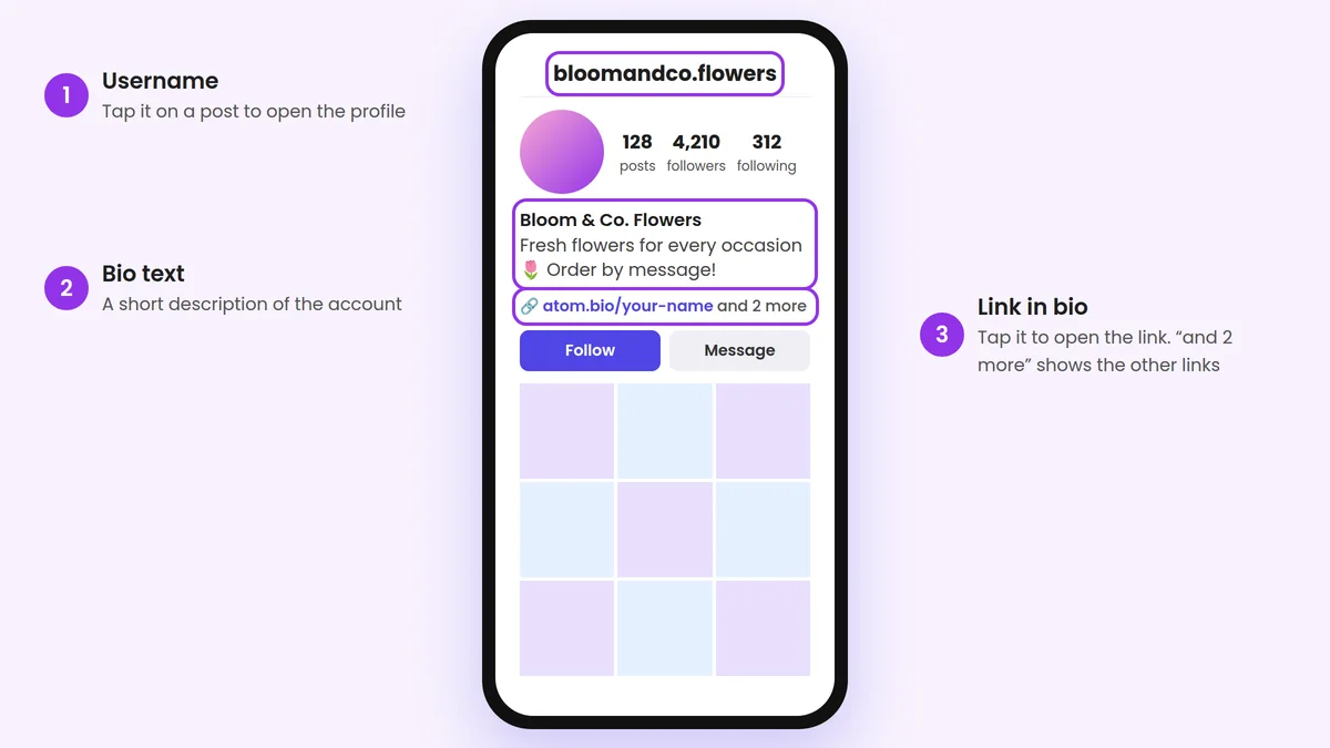 Where the link in bio appears on an Instagram profile: under the bio text and above the Follow button